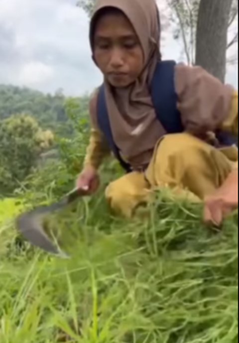 Dedikasi Guru TK Tak Bergaji Tiap Hari Ajari Belasan Anak