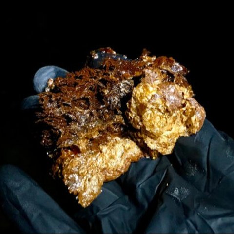 ilmuwan temukan kehidupan bawah tanah