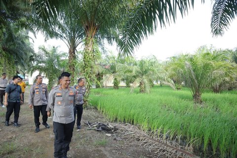 kantor polisi jadi sawah
