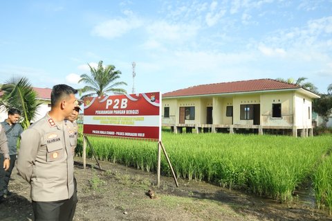 kantor polisi jadi sawah