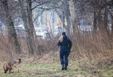 Polisi wanita dengan seekor anjing menyisir area dekat Kampus Risbergska di Orebro, Swedia, (04/02/2025).