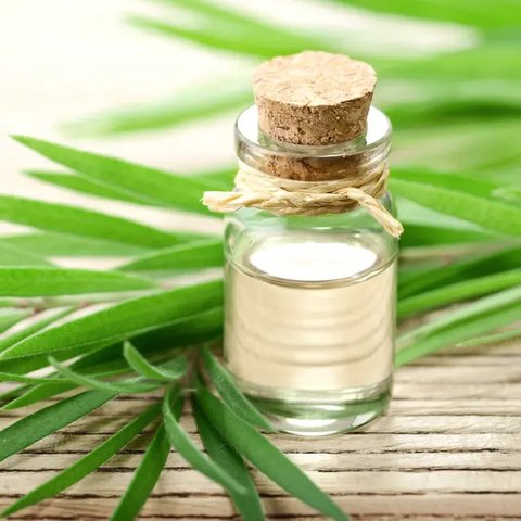 Simak cara-cara penggunaan inhaler yang tepat berikut ini! (unsplash.com/Sahej Brar)