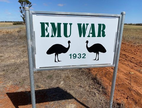 Perang Emu