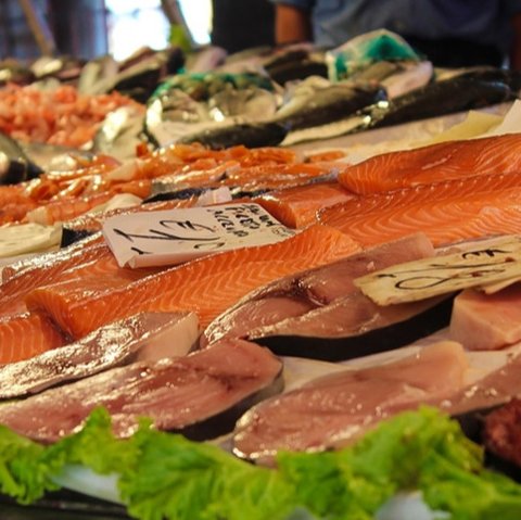 Ilustrasi ikan tuna untuk abon (Sumber: Pixabay)