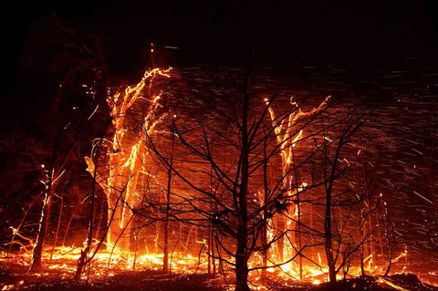 Kebakaran hutan yang merembet ke pemukiman warga di Oklahoma, AS, (14/03/2025).