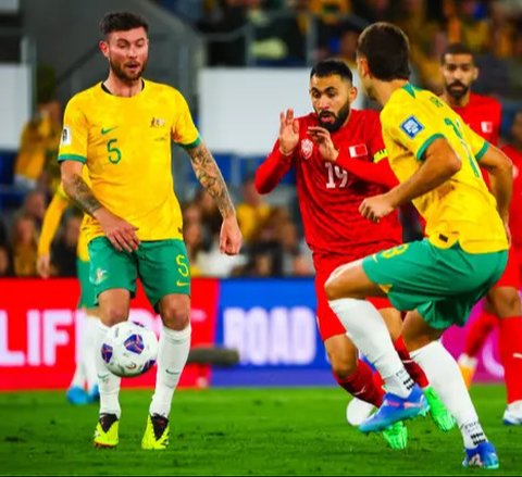 Pelatih Timnas Australia, Tony Popovic. (Dok. Socceroos)