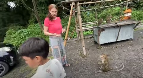 Hari Terakhir Liburan di Indonesia Ketemu Cucu, Orangtua Bule Jerman Bahagia