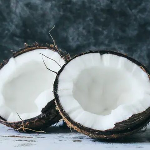 Santan mudah terfermentasi