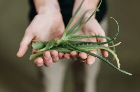 Ilustrasi. (foto: Pinterest/popbela).