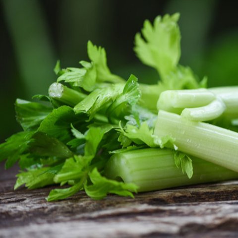 Ilustrasi Daun Seledri Credit: pexels.com/pixabay