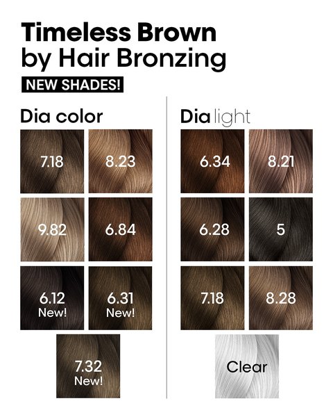 Ilustrasi Hair Bronzing Loreal