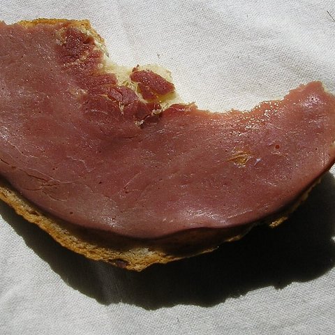 Ilustrasi Daging Kuda