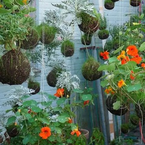 ilustrasi desain taman rindang di rumah by pinterest