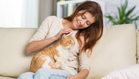 Tahukah Kamu Cara Kucing Ngomong Sama Manusia Beda Dengan Sesamanya