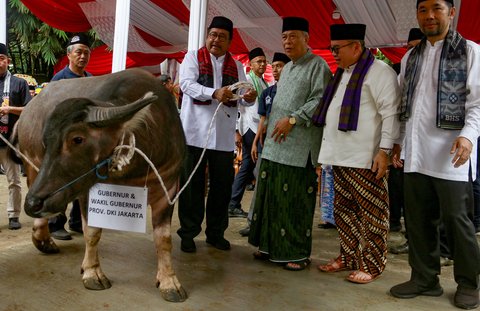 Wakil Gubernur DKI Jakarta Rano Karno saat menghadiri  acara Andilan Potong Kebo di Agro Edukasi Wisata Ragunan, Jakarta, Sabtu (29/3/2025).