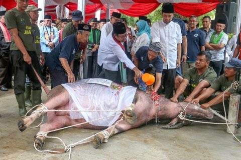 Wakil Gubernur DKI Jakarta Rano Karno saat menghadiri  acara Andilan Potong Kebo di Agro Edukasi Wisata Ragunan, Jakarta, Sabtu (29/3/2025).