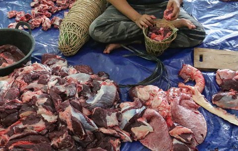 Tradisi andilan potong kebo di Agro Edukasi Wisata Ragunan, Jakarta, Sabtu (29/3/2025).