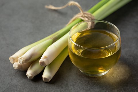 Asam Urat Sering Kambuh? Tak Perlu Khawatir! Coba Resep Alami yang Sehat, Aman, dan Mudah Dibuat di Rumah