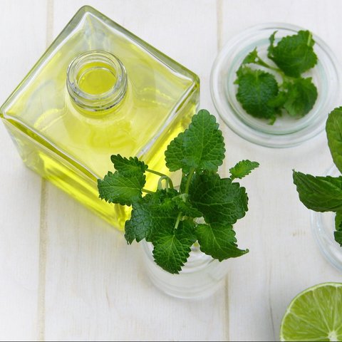 Minyak Peppermint