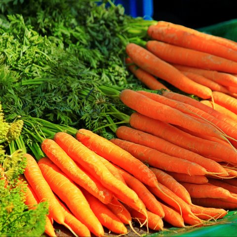 ilustrasi wortel  (sumber: Pixabay)