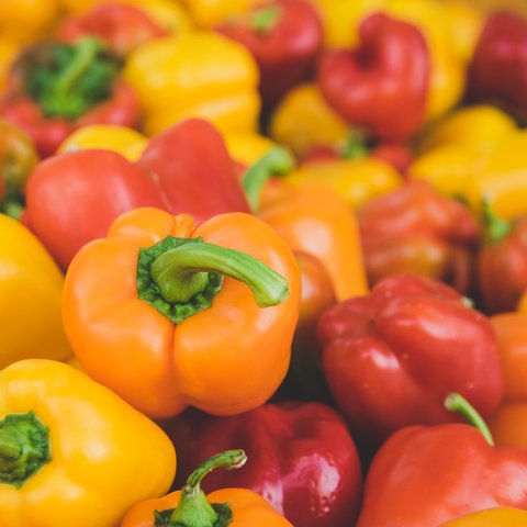 Ilustrasi paprika (dok. Pixabay.com/KaiPilger)