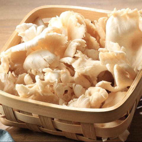 &amp;lt;p&amp;gt;Ilustrasi jamur tiram/copyright shutterstock.com/Ika Rahma H&amp;lt;/p&amp;gt;