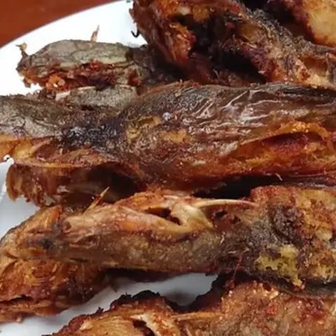 Tanpa Pakai Tepung, Ini Cara Goreng Lele yang Tepat Agar Tidak Melengkung dan Tetap Gurih (Instagram/@kumpulanresepmasak)