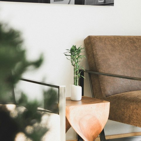 Bukan hanya bentuknya yang menarik, ternyata bambu hoki ini mempunyai makna fengshui dan mitos tersendiri.