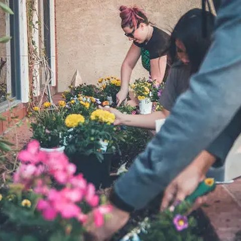 Ilustrasi berkebun. (Photo by Pelargoniums for Europe on Unsplash)
