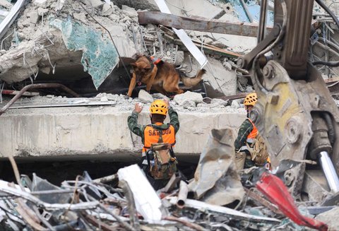 Tim SAR bersama anjing K9 melakukan pencarian korban yang tertimbun reruntuhan gedung pencakar langit setelah gempa dahsyat bermagnitudo 7,7 mengguncang Myanmar di Bangkok, Thailand, pada Selasa (1/4/2025). Getaran gempa mematikan yang menghantam Myanmar terasa kuat di Thailand sampai meruntuhkan gedung pencakar langit yang sedang dalam tahap pembangunan.