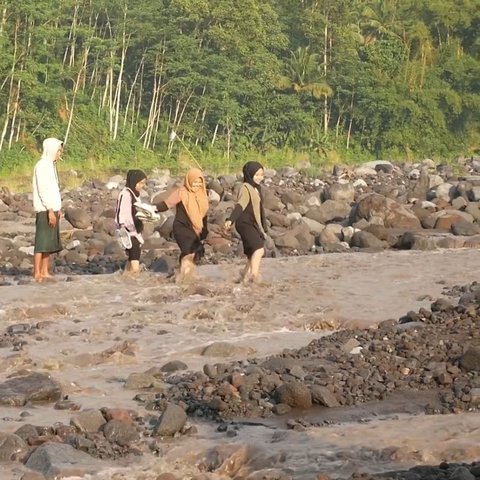 Potret Dampak Banjir Lahar Semeru Putuskan Jalan Desa, Separuh Siswa SD Jugosari Lumajang Absen