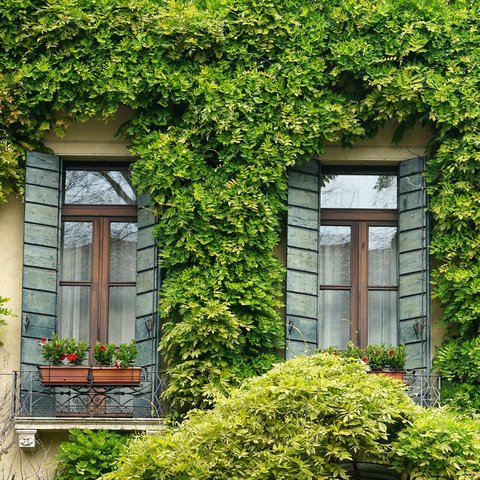 ilustrasi dekorasi estetik rumah minimalis