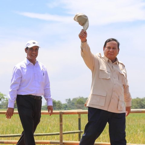 Panen Raya