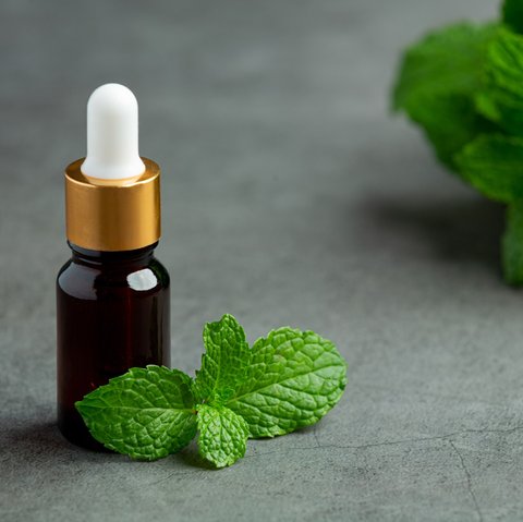 Ilustrasi Minyak Esensial Aroma Peppermint (&copy;Freepik)