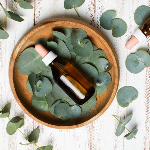 Ilustrasi Minyak Esensial Aroma Eucalyptus (&copy;Freepik)
