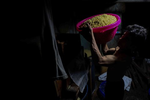 Jeritan Produsen Tempe Hadapi Lonjakan Harga Kedelai Impor, Naik Tiga Kali dalam Sepekan