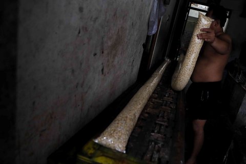 Jeritan Produsen Tempe Hadapi Lonjakan Harga Kedelai Impor, Naik Tiga Kali dalam Sepekan