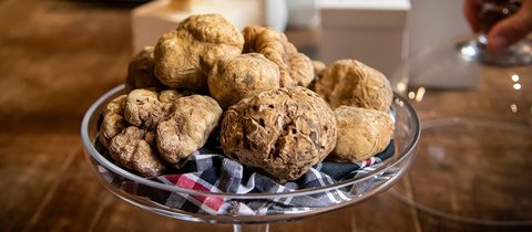 Makanan Paling Mahal di Dunia, Bikin Perut Kenyang tapi Dompet Menipis
