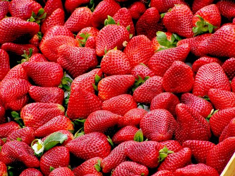 Makanan Paling Mahal di Dunia, Bikin Perut Kenyang tapi Dompet Menipis