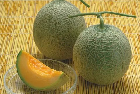 Yubari King Melon