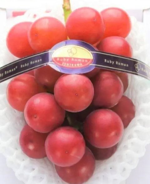 anggur Ruby Roman