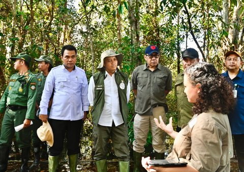 Menhut: Kasus Kebakaran Hutan Menurun, 3 Faktor Jadi Kunci