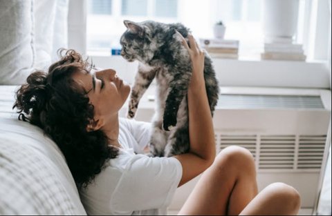 Tips Membuat Kucing Tetap Nyaman di Rumah Sendirian ketika Ditinggal Liburan