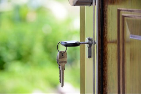 Tips Membuat Kucing Tetap Nyaman di Rumah Sendirian ketika Ditinggal Liburan
