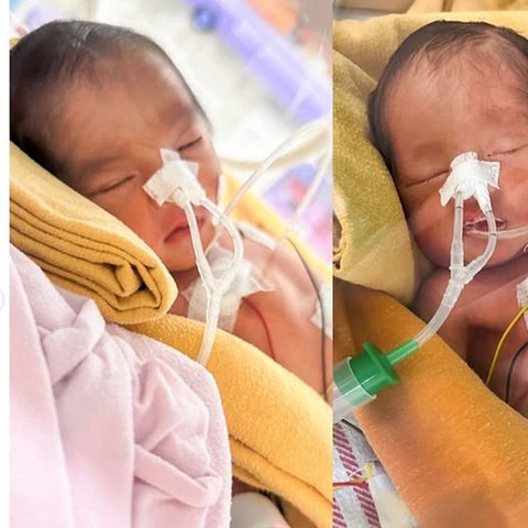 5 Potret Anak Kembar Laki-laki Ustaz Dennis Lim, Perjuangan 5 Tahun Berbuah Manis Lewat Bayi Tabung