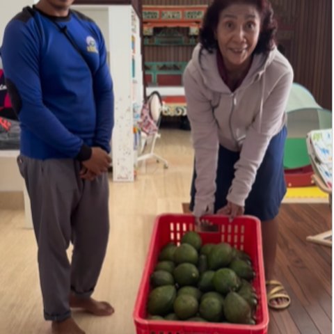 Tak Lagi Menjabat Menteri, Eks Srikandi Jokowi Kini jadi 'Petani' Baru Panen Alpukat dan Melon