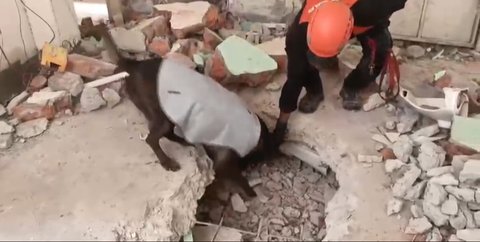 Cerita Tim Kemanusiaan INASAR 1 dari Balik Reruntuhan Gempa Myanmar