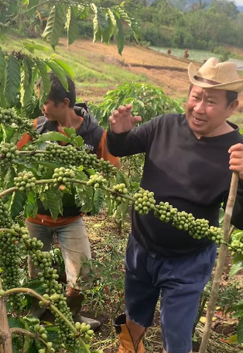 Kini jadi Petani, Momen Pensiunan Jenderal Polisi Turun ke Kebun Kopi Penampilannya Tetap Kece