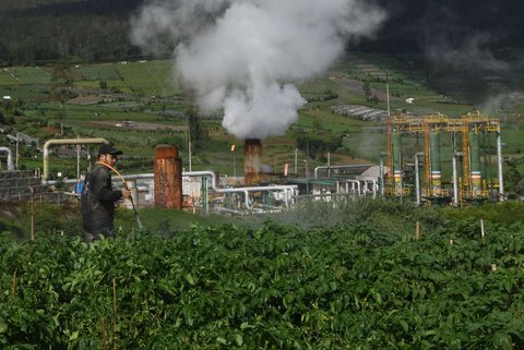 Petani menyiramkan pestisida antilayu pada tanaman kentang di sekitar areal instalasi sumur geothermal atau panas bumi untuk Pembangkit Tenaga Listrik Panas Bumi (PLTP) PT Geo Dipa Energi di kawasan dataran tinggi Dieng, Banjarnegara, Jawa Tengah, Minggu (6/4/2025).