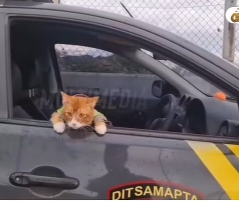 Patroli Polisi Ditemani 'Poyici Oyen' Bikin Gemas Pemudik Pakai Seragam dan Berkacamata